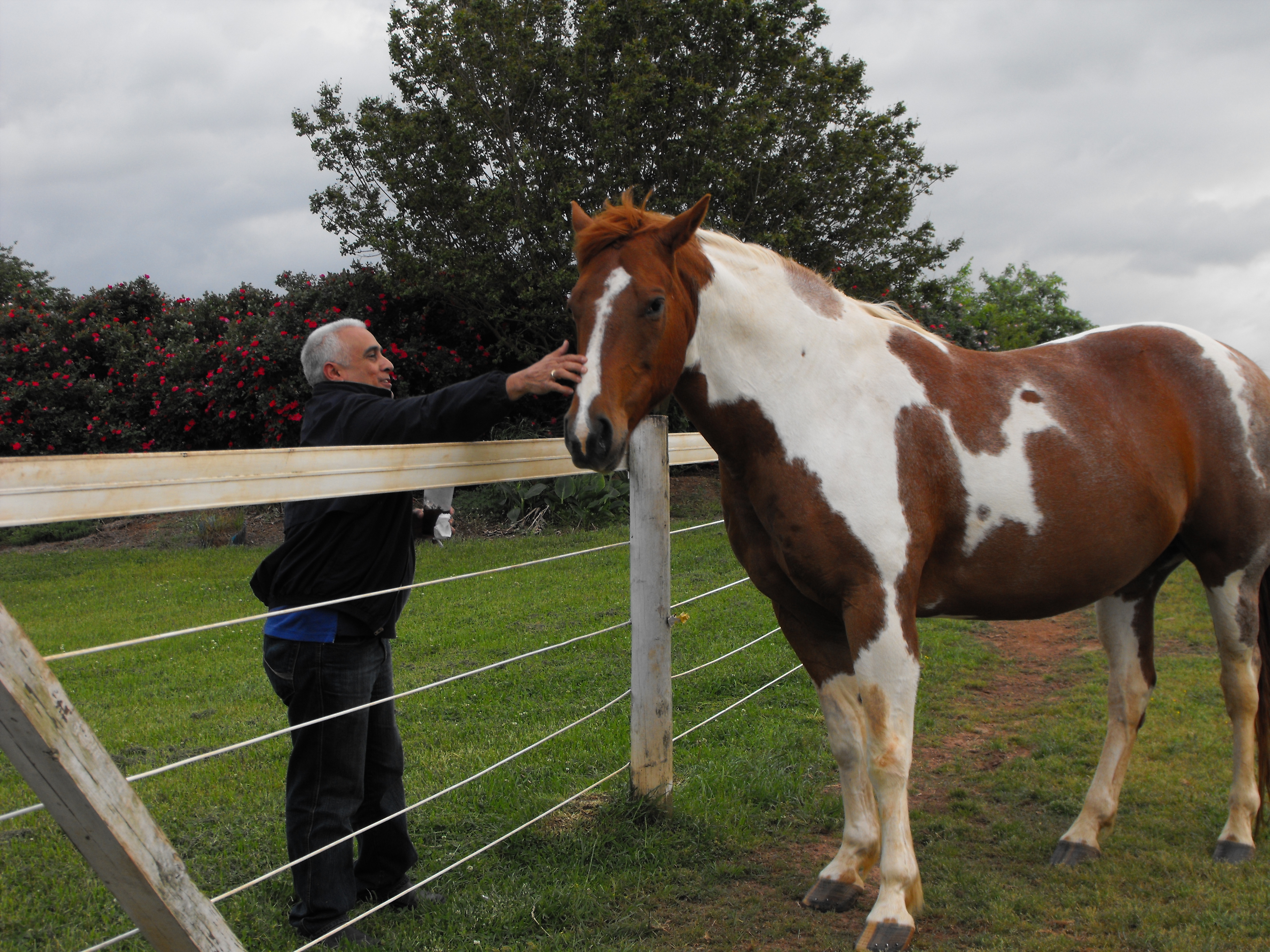 ./2013/Southern Cross Ranch/DSCF4852.JPG